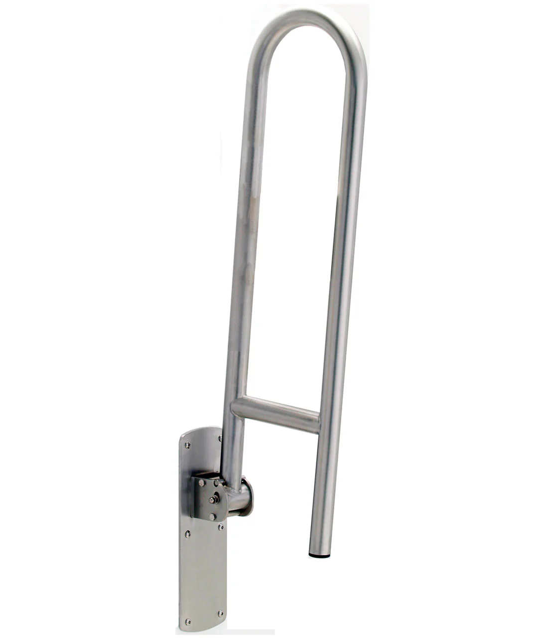 Swing Up Grab Bar